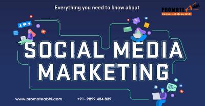 Social Media Marketing Company india, Social Media Agency Delhi - Img 1