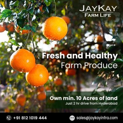 Agriculture land for sale near Hyderabad | Jaykay Infra - Img 1