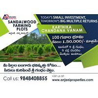 Ready to invest - &quot;SANDALWOOD PLANITATION&quot; 100 Sq yard plot in Anjnani Properties.