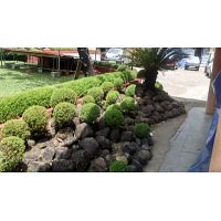 Landscape services in Kerala