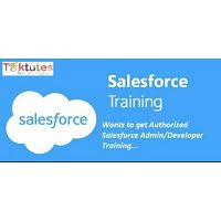 Salesforce developer online training