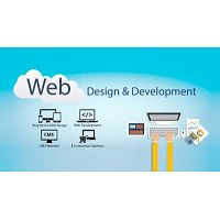 Are you guys looking for Web development services or WordPress development companies?