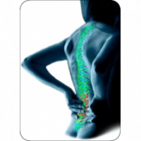 Arogyam pure herbs kit for joint pains