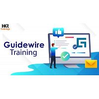 Guidewire Training