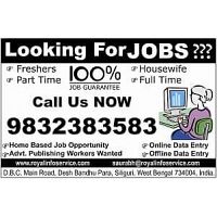 Income Opportunities through online