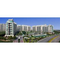 DLF Crest Apartment on Golf Course Road for Resale