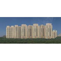 DLF Park Place Apartment on Rent in Sector 54 Gurgaon