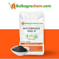 Mycorrhiza is a symbiotic association between a green plant and a fungus