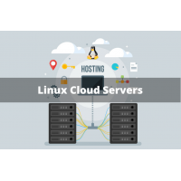 Reliable Linux cloud hosting by Infrazone in India