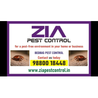 Bedbug treatment Upto 30% Off  | Paying Guest | 1917 | Office