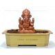 Eco friendly ganesh idol which turns into a plant  - TreeGanesha