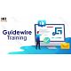 Guidewire Training