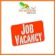 Opportunity To Establish The Career In Digital Marketing