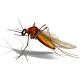 Pest Control Services in Dadar by Sadguru Pest Control
