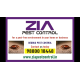 Bedbug treatment Upto 30% Off  | Paying Guest | 1917 | Office