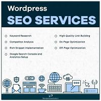 Premium WordPress SEO Services Faridabad, India | WordPresswebsite.In