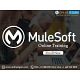 Mule 4 Online Training | Mulesoft Self Learning