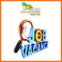 Part/Full Time/Home Based Internet Work on Tour &amp; Travel Company