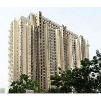4 BHK Apartment on Rent in Gurgaon | DLF The Magnolias