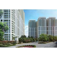 DLF The Crest in Gurgaon on Golf Course Road Apartments in Gurgaon