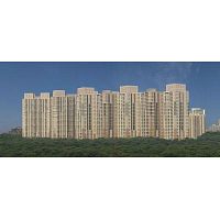 DLF Park Place Apartment for Sale in Sector 54 Gurgaon (Gurugram)