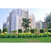 Parsvnath Exotica Apartment for Sale in Sector 53 Gurgaon (Gurugram)
