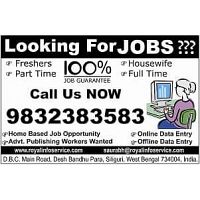 Home Based Video ad Job