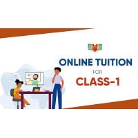 Choose The Best Online Classes For Grade 1st - Ziy