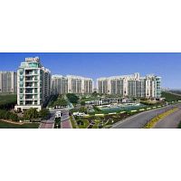 DLF  Crest  Apartment on Golf Course Road on  Rent
