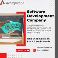 Professional Software Development Services In India