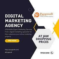 Best digital marketing services in jaipur | purgesoft