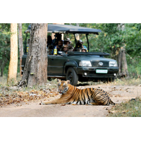 Jungle Safari in Karnataka: A Must-Do Adventure - Safari Quest