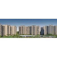 SS Group Sector 83 Gurgaon offers residential property