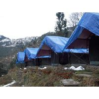 Luxury Camping in Dhanaulti | Camp O Royale Dhanaulti