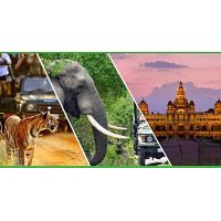 Tailor-made Tour Packages in Mysore for an Unforgettable Experience