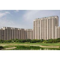 Apartments on Sale in Gurugram | DLF Camellias on Sale in Gurgaon