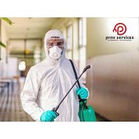 Pest control services at nampally in Hyderabad