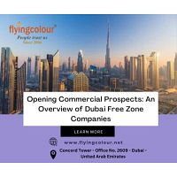 Opening Commercial Prospects: An Overview of Dubai Free Zone Companies