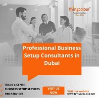 Professional Business Setup Consultants in Dubai